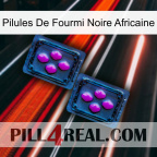 African Black Ant Pills 03